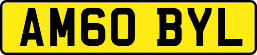 AM60BYL