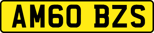AM60BZS