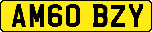 AM60BZY