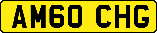AM60CHG