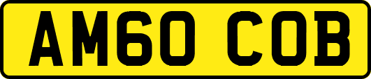 AM60COB