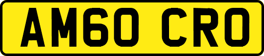 AM60CRO