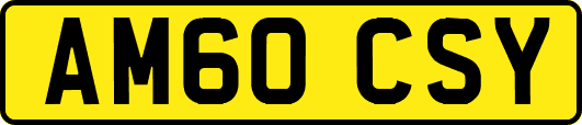 AM60CSY