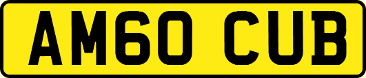 AM60CUB