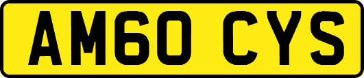 AM60CYS