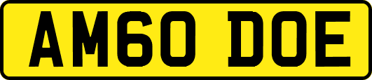 AM60DOE