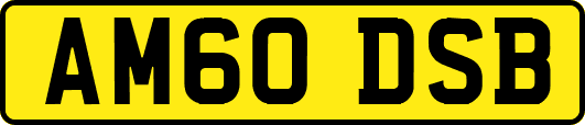 AM60DSB