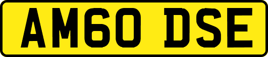 AM60DSE