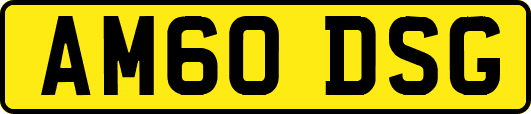 AM60DSG