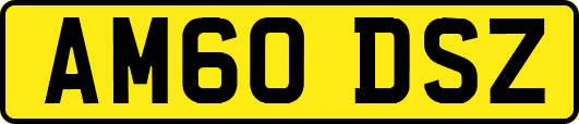 AM60DSZ