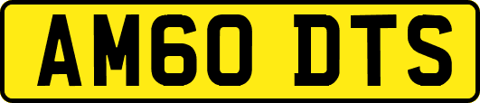 AM60DTS