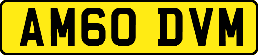 AM60DVM