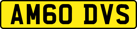 AM60DVS