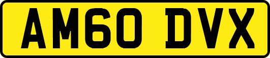 AM60DVX