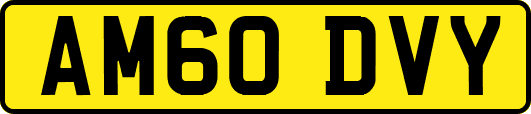AM60DVY