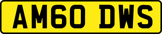 AM60DWS