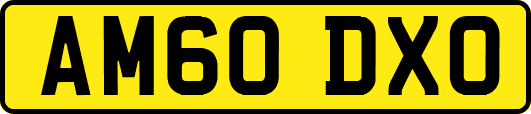 AM60DXO