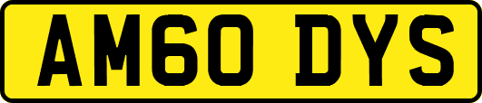 AM60DYS