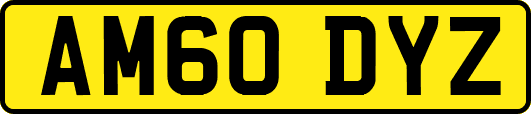AM60DYZ