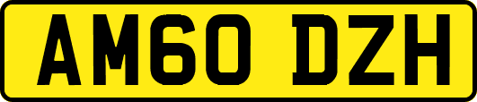 AM60DZH