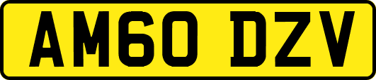 AM60DZV