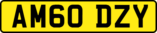 AM60DZY