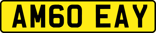 AM60EAY
