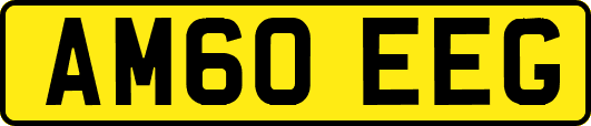 AM60EEG