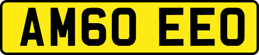 AM60EEO