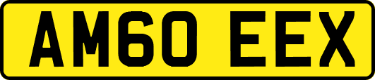AM60EEX