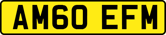 AM60EFM