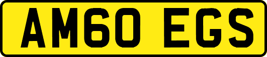 AM60EGS