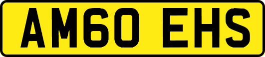 AM60EHS