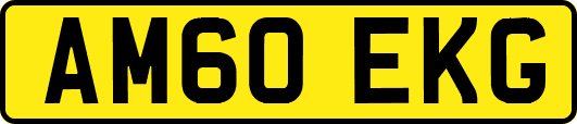AM60EKG