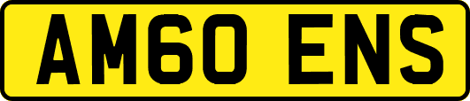AM60ENS