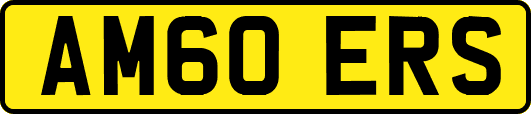 AM60ERS