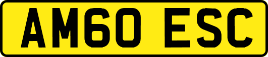 AM60ESC