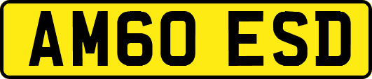 AM60ESD