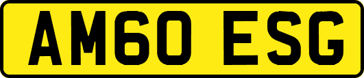 AM60ESG