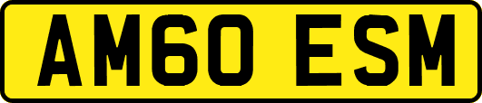 AM60ESM