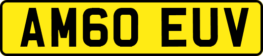 AM60EUV