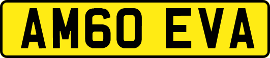 AM60EVA