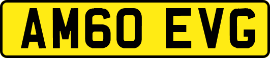 AM60EVG