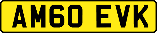 AM60EVK