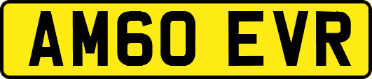 AM60EVR