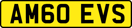 AM60EVS