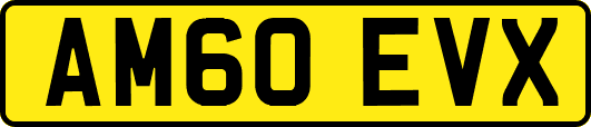 AM60EVX