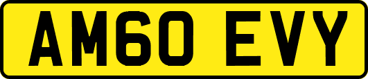 AM60EVY