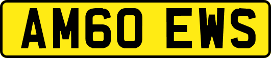 AM60EWS