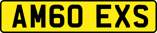 AM60EXS